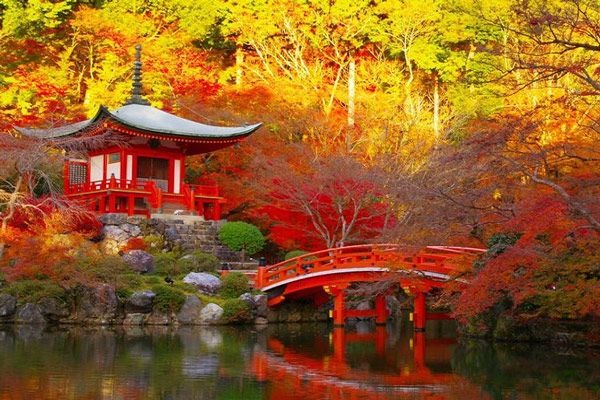 Khám phá Nhật Bản Mùa Thu Vàng: Osaka  - Kyoto - Nagoya - Phú Sĩ - Tokyo