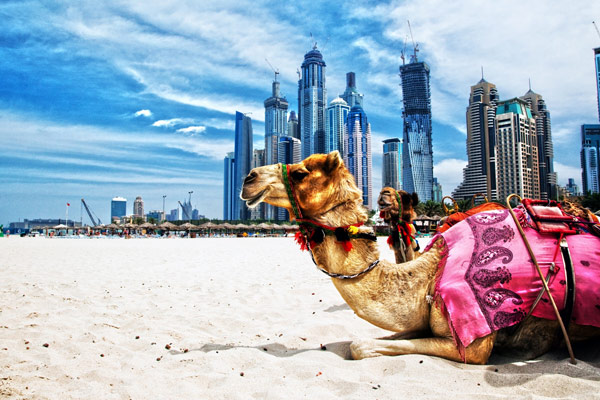 Khám phá các Tiểu Vương Quốc Ả Rập thống nhất Dubai - Abu Dhabi